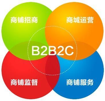 B2B2C商城盈利之道 從系統(tǒng)開發(fā)到精細(xì)化運(yùn)營(yíng)的全景策略