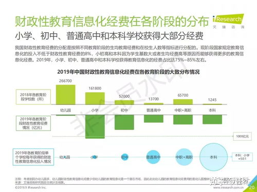 2019年中國教育信息化行業(yè)研究報告 信息技術(shù)咨詢服務(wù)